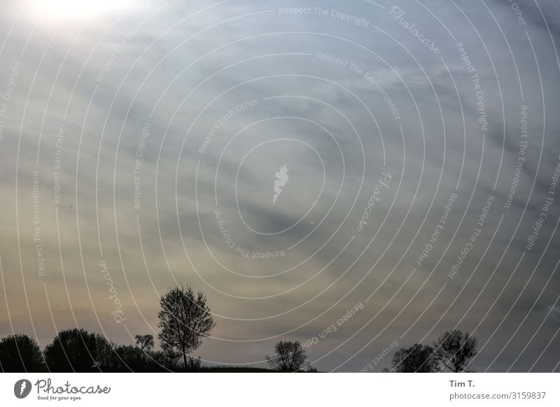 Himmel Umwelt Natur Landschaft Wolken Sonne Herbst Klima Wetter Pflanze Baum Idylle Ferne Polen Farbfoto Außenaufnahme Menschenleer Textfreiraum oben Abend