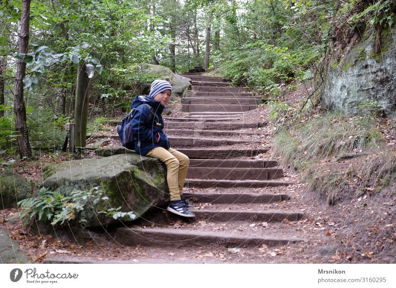 Wandertour Sächsische Schweiz mit Kindern Sachsen Ausflug Berge u. Gebirge Ausfluzgsziel Bergsteigen Herbst herbstlich oben Wald Menschenleer Farbfoto Tourismus