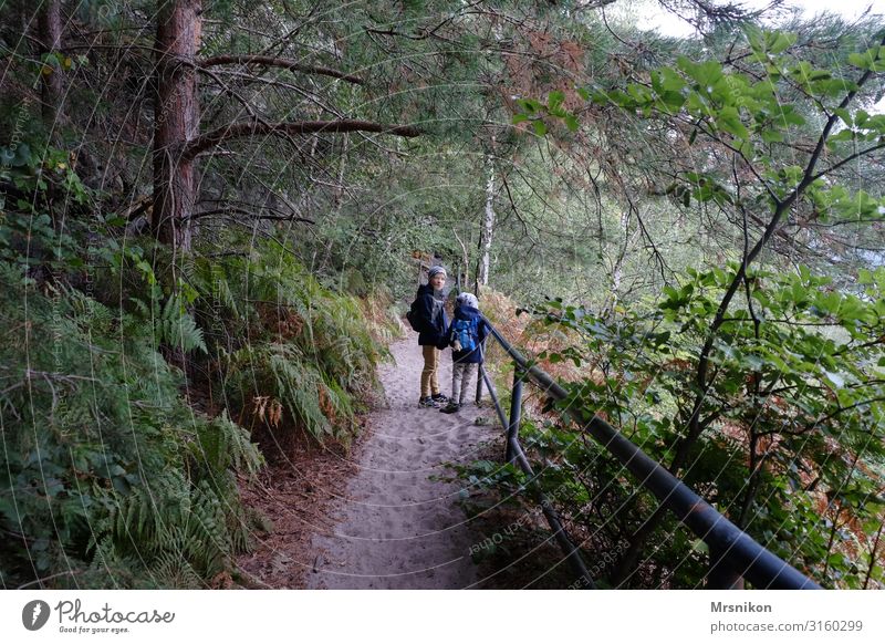 Wandertour Sächsische Schweiz mit Kindern Sachsen Ausflug Berge u. Gebirge Ausfluzgsziel Bergsteigen Herbst herbstlich oben Wald Menschenleer Farbfoto Tourismus