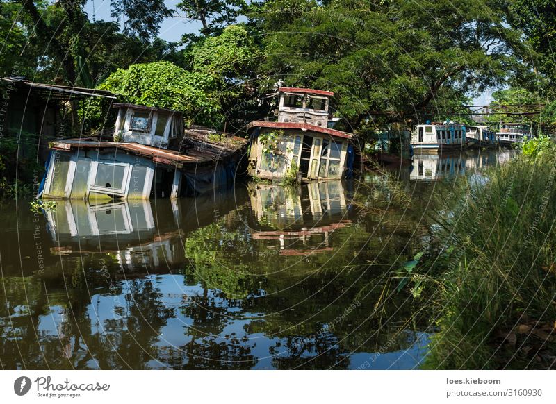 Sunken house boats in Kerala backwater Ferien & Urlaub & Reisen Tourismus Abenteuer Ferne Sightseeing Natur Schönes Wetter exotisch Flussufer Schifffahrt