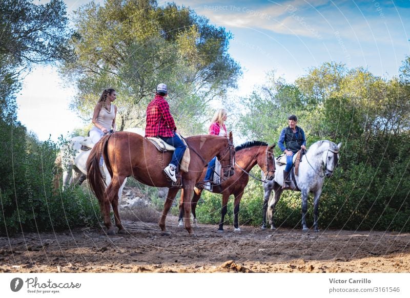 Eine Gruppe von Menschen, die ein Pferd in der Natur reiten. Lifestyle elegant Reiten Junge Frau Jugendliche Junger Mann Erwachsene 4 18-30 Jahre 30-45 Jahre