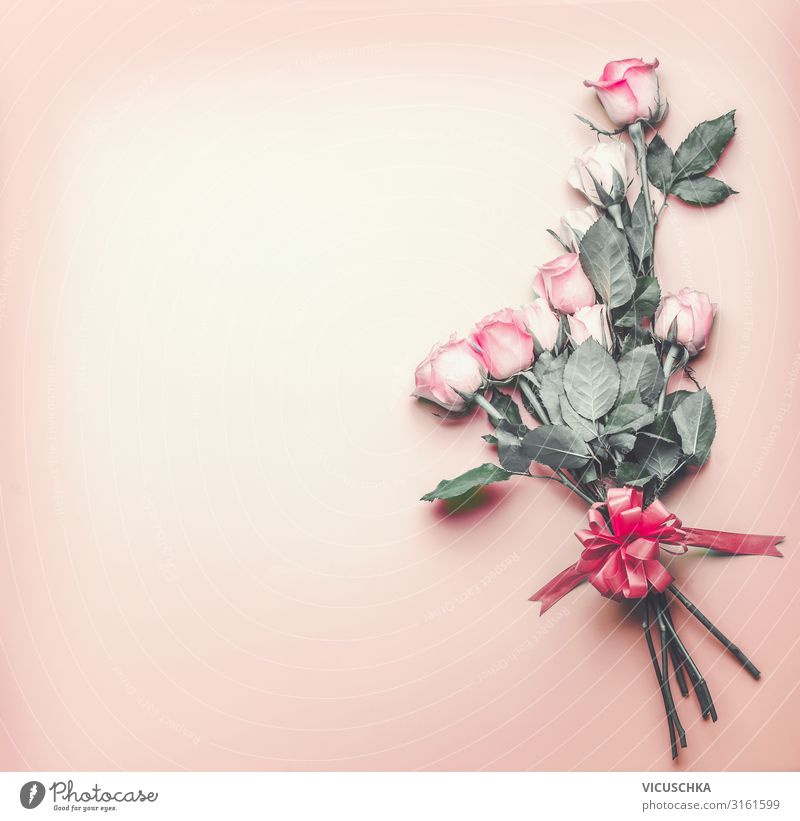 Romantischer Hintergrund mit Rosen elegant Design Feste & Feiern Valentinstag Hochzeit Geburtstag Blume Dekoration & Verzierung Blumenstrauß Schleife rosa