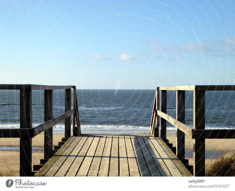 weitsichtig | bis zum Horizont... Himmel Schönes Wetter Wellen Küste Strand Nordsee Meer Treppe Brückengeländer Geländer Holz Ferne frei maritim Zufriedenheit