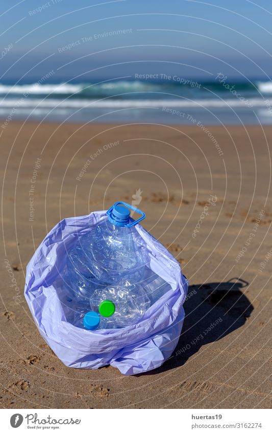 Kunststoffe reinigen den Strand Flasche Lifestyle Meer Frau Erwachsene Hand Umwelt Natur Landschaft Sand Küste Hund Paket nachhaltig Sauberkeit blau