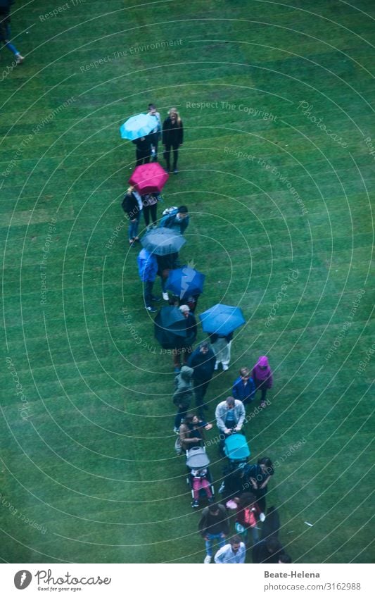 Schlangen aller Arten 1 Menschenschlange Regen Regenschirme Außenaufnahme Wetter Rasen Grün Warteschlange nass