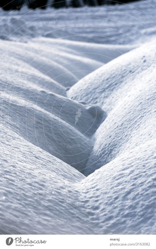 Trafen sich zwei Schneedecken Winter Eis Frost kalt natürlich Einsamkeit Graben Farbfoto Gedeckte Farben Außenaufnahme abstrakt Menschenleer Textfreiraum oben