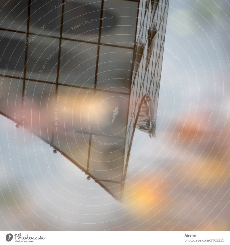 Harmonie im Herbstwetter | UT Hamburg Urelemente Wasser Blatt Herbstlaub Pfütze Bauwerk Sehenswürdigkeit Elbphilharmonie Glas Schwimmen & Baden Bekanntheit nass