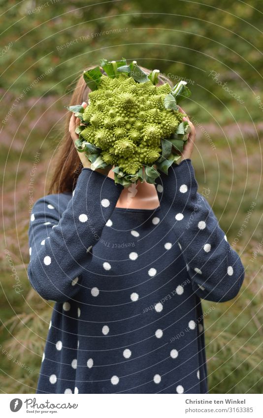 junge Frau im blauen Pullover hält einen Romanesco vor ihr Gesicht Lebensmittel Gemüse Ernährung Bioprodukte Vegetarische Ernährung Diät Mensch feminin