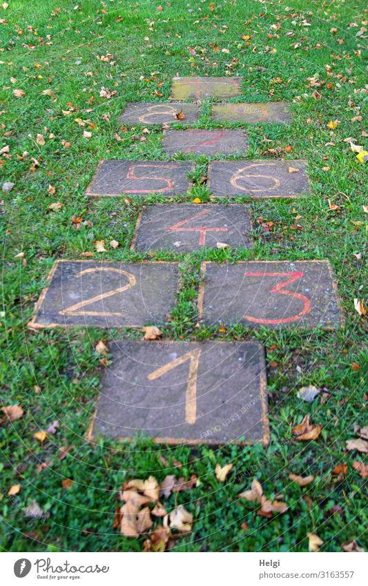 Steinplatten mit aufgemalten Zahlen, Hüpfspiel für Kinder auf einer Wiese Umwelt Natur Pflanze Gras Blatt Spielen Spielfeld Ziffern & Zahlen außergewöhnlich