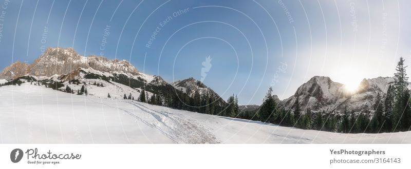 Winterpanorama mit verschneiten Alpenbergen. Schneebedeckte Natur Sonne Berge u. Gebirge Landschaft Klimawandel Wetter Schönes Wetter Gipfel hell weiß Ehrwald