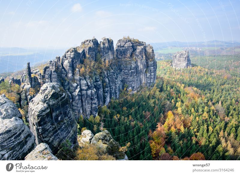 Schrammsteine und Falkenstein im Herbst Sächsische Schweiz Panoramablick Landschaft Berge u. Gebirge Elbsandsteingebirge Ferien & Urlaub & Reisen Felsen Wald