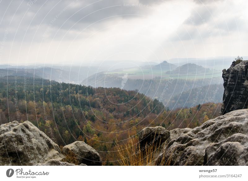 Blick von der Breiten Kluft über das Elbtal zum Zirkelstein und der Kaiserkrone Herbst Sächsische Schweiz Elbsandsteingebirge Landschaft Berge u. Gebirge