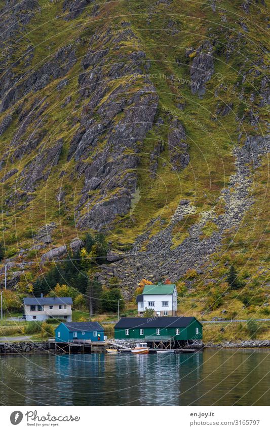 Berge und Meer Ferien & Urlaub & Reisen Ausflug Umwelt Natur Landschaft Herbst Felsen Berge u. Gebirge Küste Fjord Ballstad Norwegen Norwegenurlaub Skandinavien