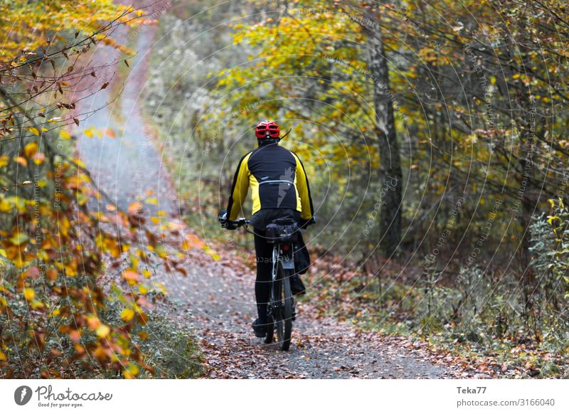 Mountainbiken im Herbst Sport Fahrradfahren Umwelt Natur Landschaft Pflanze ästhetisch Mountainbiking Farbfoto Außenaufnahme