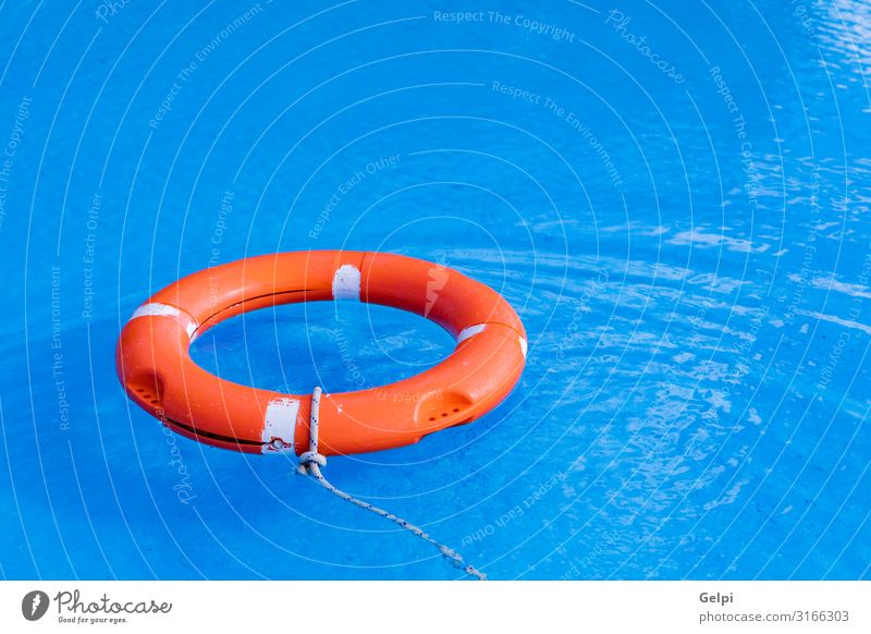 Bunte Floats auf einem Pool Freude schön Erholung Schwimmbad Freizeit & Hobby Ferien & Urlaub & Reisen Sommer Sonne Strand Wasser Ring Kunststoff blau rot Farbe