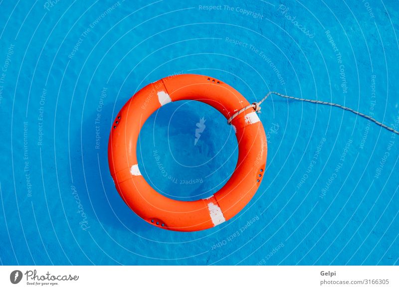 Bunte Floats auf einem Pool Freude schön Erholung Schwimmbad Freizeit & Hobby Ferien & Urlaub & Reisen Sommer Sonne Strand Wasser Ring Kunststoff blau rot Farbe