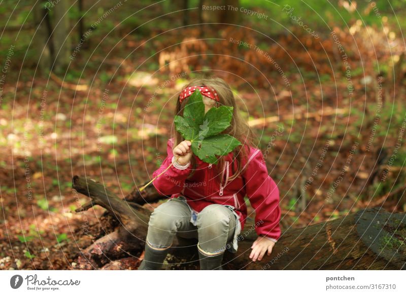 Kind sitzt auf einer Baumwurzel im Wald und hält sich ein großes grünes Blatt vors Gesicht. Verstecken Freude Freizeit & Hobby Spielen Kinderspiel Abenteuer
