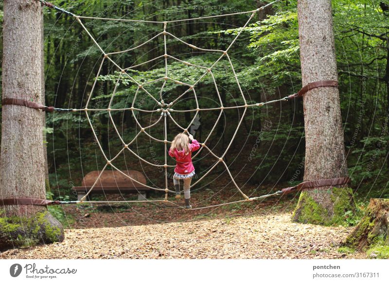 Weibliches Kind klettert im Spinnennetz aus  Seilen.  Abenteuerspielplatz im Wald. Klettern Vergnügungspark erleben Spielplatz Rückansicht Mädchen Freude