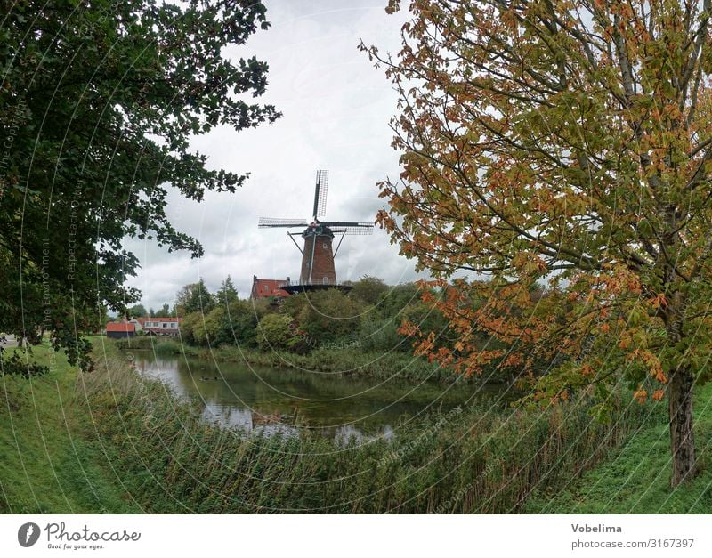 Windmühle De Koornbloem in Goes, Niederlande bauwerk europa holland kornblumenmuehle kornblumenmühle niederlande wahrzeichen windmuehle zeeland kanal herbst