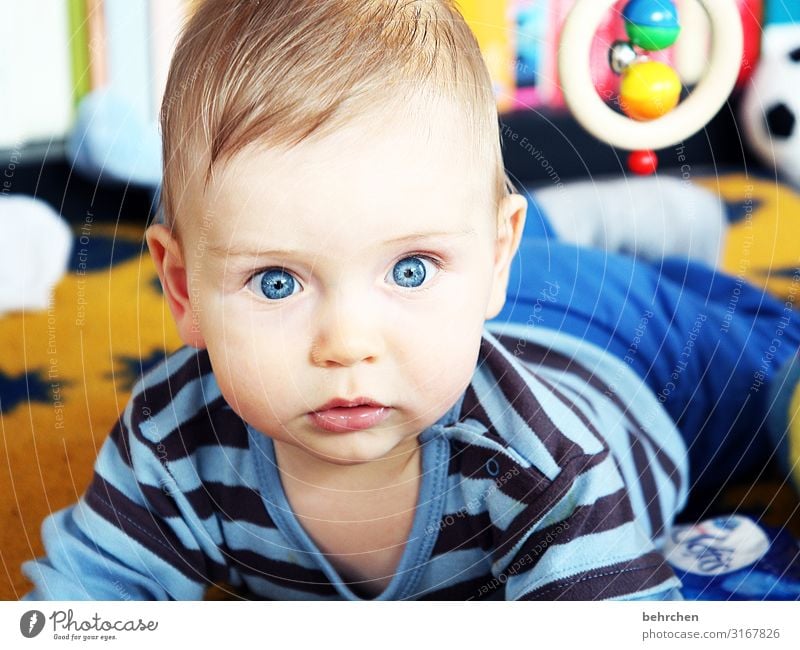 staunen blaue augen Baby Junge Vater Mutter Familie & Verwandtschaft Kindheit Auge Gesicht Kopf Haut Ohr Nase Schutz Vertrauen 0-12 Monate Geborgenheit träumen