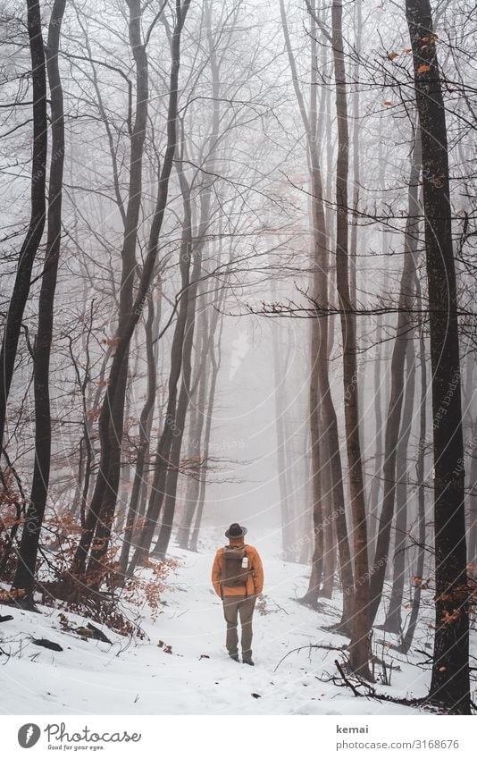 Mann mit Hut und Rucksack im Wald im Winter, Rückansicht Lifestyle harmonisch Wohlgefühl Zufriedenheit Sinnesorgane Erholung ruhig Freizeit & Hobby Ausflug