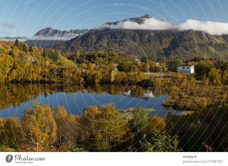 Traumhaus Ferien & Urlaub & Reisen Umwelt Natur Landschaft Himmel Wolken Herbst Schönes Wetter Wald Hügel Berge u. Gebirge See Lofoten Skandinavien Norwegen