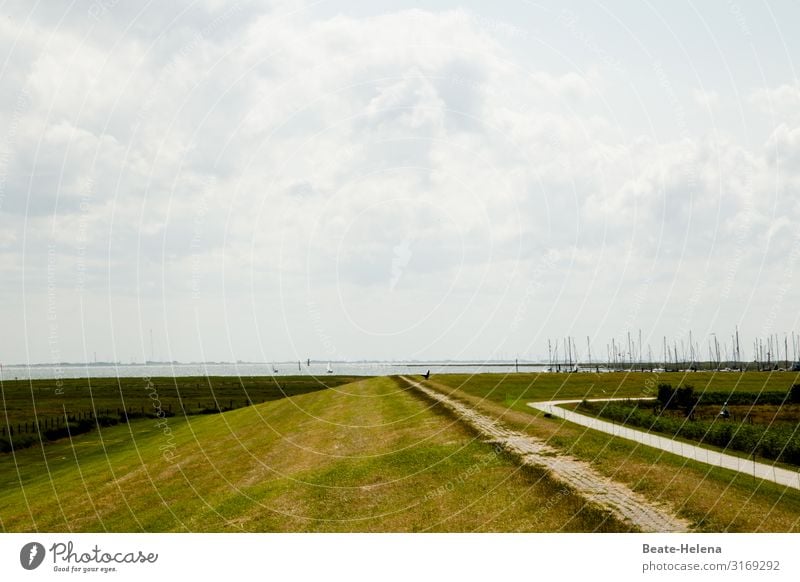 Der Weg ist das Ziel 2 Ebene Meer Küste Wasser Landschaft Himmel Wege & Pfade