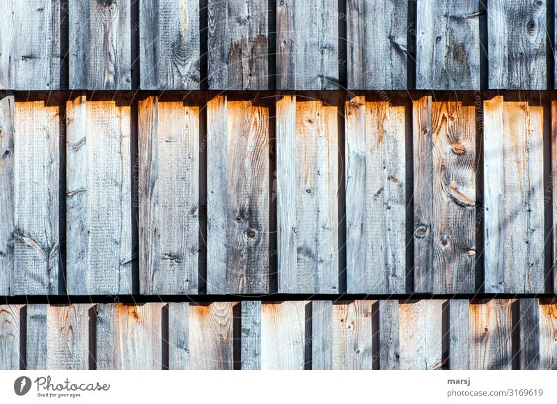 Dreireihige Holzfassade Holzwand Wand Maserung Holzmaserung Lärche Gedeckte Farben Schutz nachhaltig braun einzigartig Zusammensein eckig Patina abstrakt
