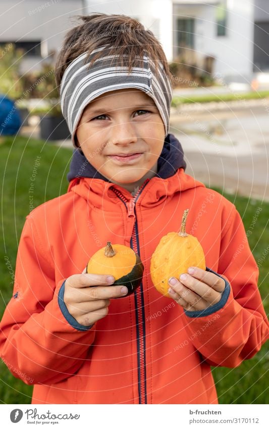 Kind mit Zierkürbisse Freizeit & Hobby Spielen Gesicht 1 Mensch 3-8 Jahre Kindheit Jacke Kopftuch wählen festhalten Kürbis Stirnband Herbst Halloween zeigen