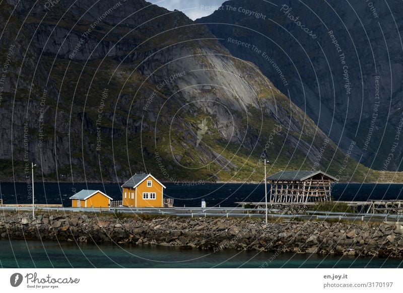 Kleines gelbes Haus am Fjord vor Bergen Ferien & Urlaub & Reisen Natur Landschaft Herbst Berge u. Gebirge Sakrisøy Reine Lofoten Norwegen Skandinavien Dorf