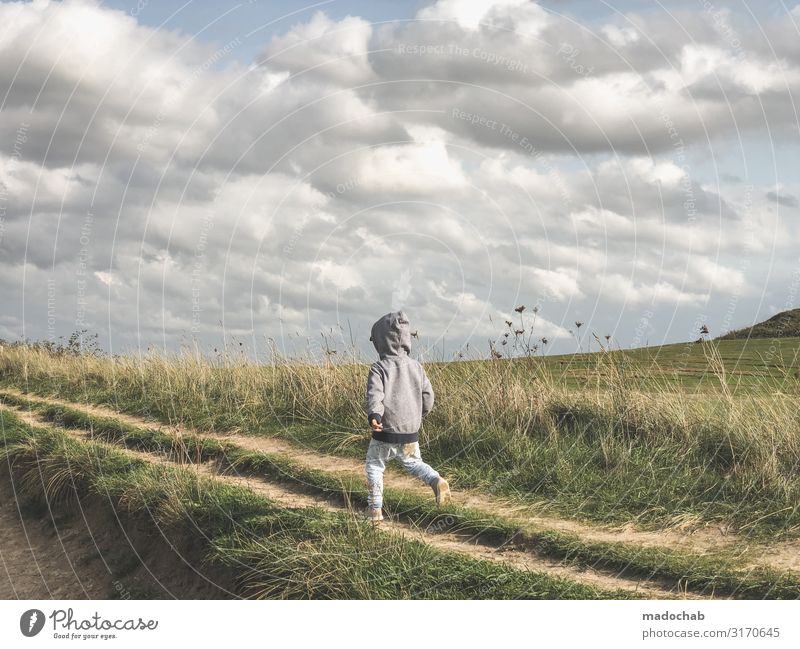 Landschaft Natur Kind Freiheit Landlust Freiheit Luft Mensch Kleinkind Junge Kindheit Leben 1 Umwelt Himmel Wolken Gras Sträucher Feld Dänemark rennen