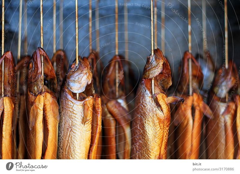 frischer, ganzer Fisch, hängt in einem Räucherofen mit Qualm zum Räuchern, auf einem Fischmarkt zum Kaufen. Räucherfisch geräuchert Ernährung Lebensmittel