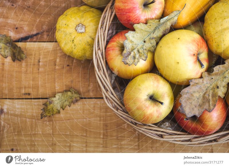 Korb mit frischen Bio-Früchten Lebensmittel Frucht Apfel Dessert Ernährung Essen Bioprodukte Saft Sommer Garten Tisch Gartenarbeit Natur Herbst Blatt Holz