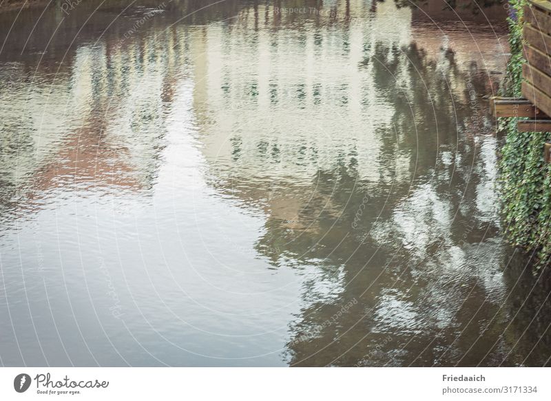 Spiegelung im Wasser Natur Landschaft Flussufer Kleinstadt Haus beobachten entdecken Blick träumen Flüssigkeit glänzend kalt nass Erholung Stimmung Farbfoto