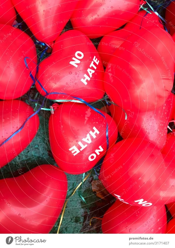 Red balloons "NO HATE" in the autumn Wohlgefühl Zufriedenheit Schriftzeichen fliegen Unendlichkeit rot Schutz Gastfreundschaft Solidarität Hass Luftballon