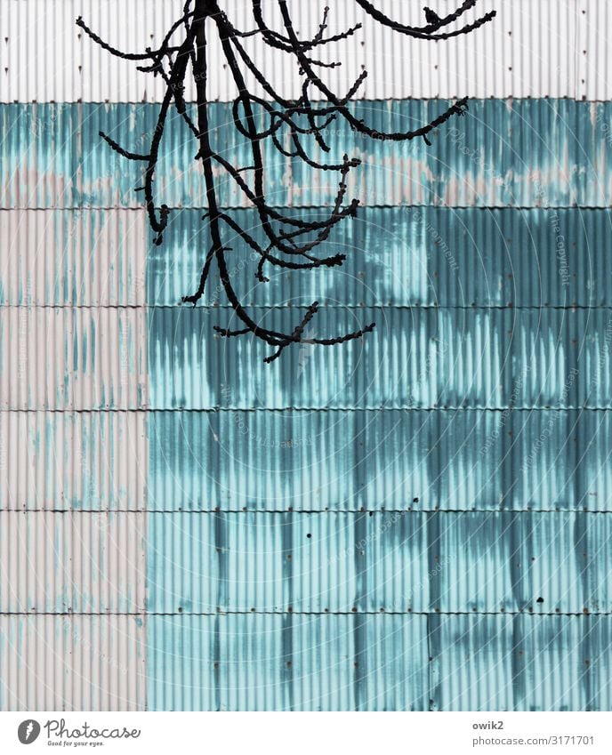 Denim Haus Wand Totale Mauer Wandverkleidung Metall Detailaufnahme Farbfoto verwaschen türkis grau Strukturen & Formen Kontrast Muster Menschenleer