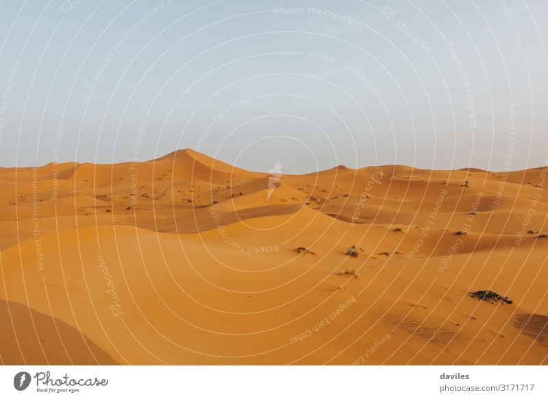 Sahara-Wüste in Marokko, mit schönen Dünenformen Ferien & Urlaub & Reisen Tourismus Abenteuer Berge u. Gebirge Natur Landschaft Sand Himmel Horizont Dürre