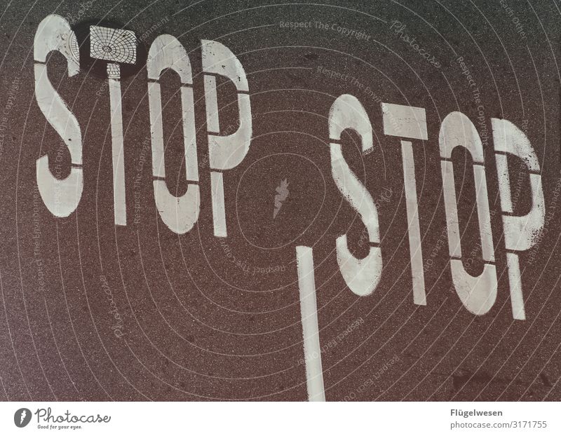 STOP | STOP Straße Straßenverkehr Menschen gehweg Fahrbahnmarkierung Fußgänger Fußgängerübergang warten Teer Straßenkreuzung Pfeil Markierungslinie stoppen