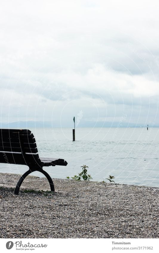 Nasse Bank in Konstanz Ferien & Urlaub & Reisen Umwelt Natur Urelemente Wasser Wetter Regen Seeufer Bodensee warten nass blau grau grün schwarz Gefühle Pause