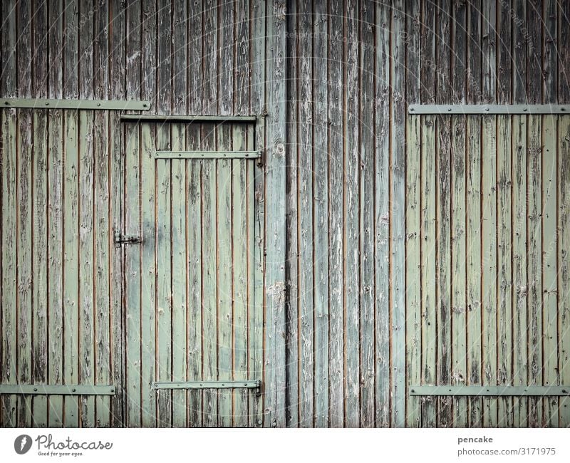 strukturwandel Hütte Gebäude Fassade Tür Senior ruhig Schutz Holzwand Holzhaus Holzbrett Bauernhof Scheune grün verwittert geschlossen Strukturen & Formen