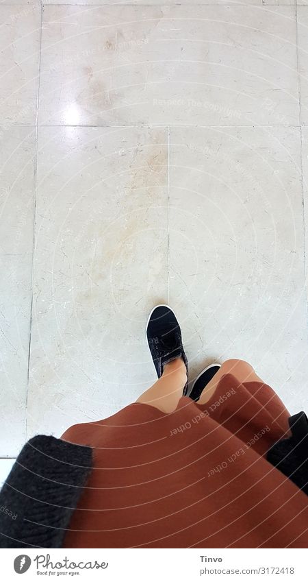 Step by step feminin Frau Erwachsene Beine 1 Mensch Bekleidung Kleid Jacke Schuhe gehen braun schwarz Marmorboden Museum Einkaufszentrum schreiten Farbfoto