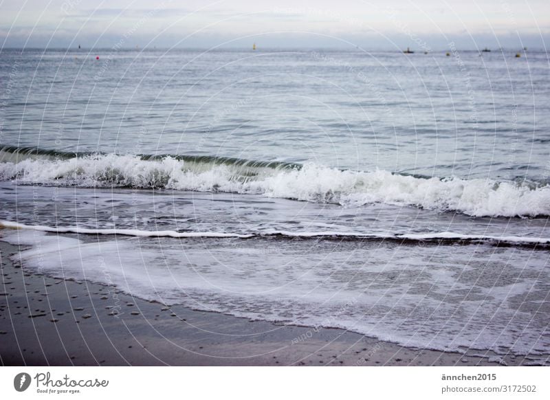Meeresrauschen II Strand Niederlande Ferien & Urlaub & Reisen Erholung Natur Sand Wasser Außenaufnahme Wellen Rauschen Luft Schaum Herbst Pause Meditation