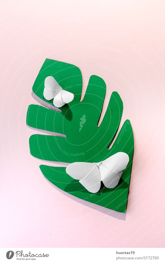 Mehrfarbige Origami-Schmetterlinge von oben Lifestyle Design schön Freizeit & Hobby Spielen Dekoration & Verzierung Tapete Kunst Künstler Kultur Papier