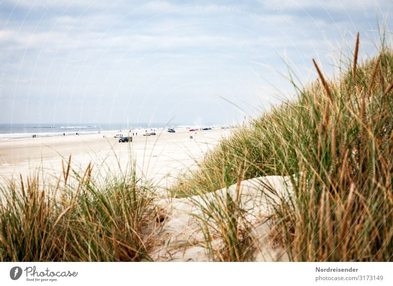Autostrand in Dänemark Freizeit & Hobby Ferien & Urlaub & Reisen Tourismus Ausflug Freiheit Camping Sommer Sommerurlaub Strand Meer Natur Landschaft Sand Wasser