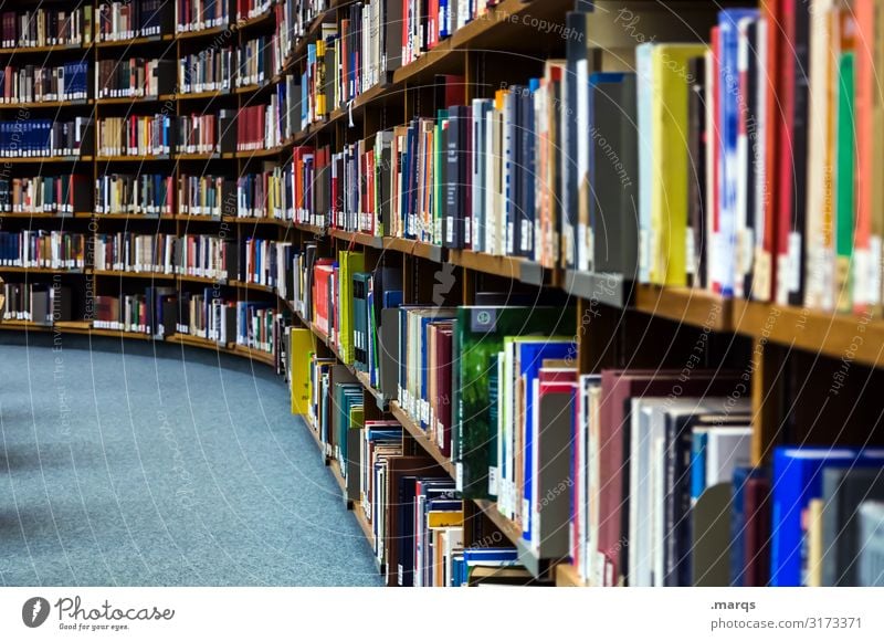 Bibliothek Bildung Erwachsenenbildung Studium lernen Buch lesen viele Farbfoto Innenaufnahme Menschenleer Wissen Literatur Schule Information Wissenschaften