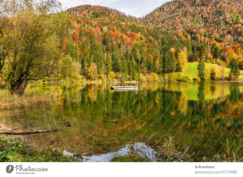 Herbstliche Landschaft Freizeit & Hobby Ferien & Urlaub & Reisen Tourismus wandern Natur Wasser Schönes Wetter Wald Hügel Alpen Seeufer Lebensfreude