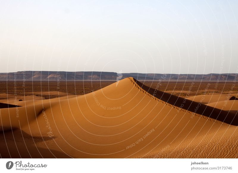 Sandburg II Landschaft Wolkenloser Himmel Wüste Sahara Düne Marokko Afrika Menschenleer Ferne Unendlichkeit heiß trocken Wärme weich Einsamkeit