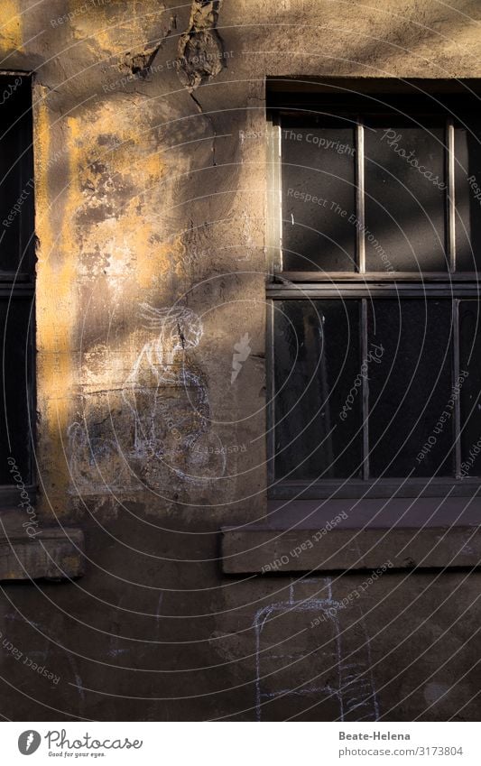 Streetlife 3 Wand Malerei Graffiti Kreidezeichnung Fahrradfahrerin Fenster dunkel Wandmalereien Außenaufnahme Kreativität Menschenleer Sonne Schatten