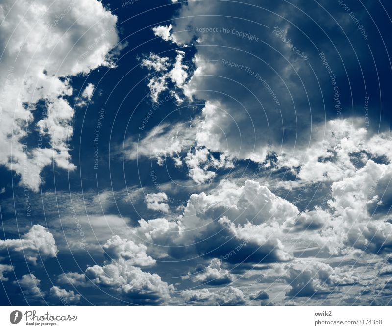 Lauter Zuckerwatte nur Himmel Wolken Schönes Wetter oben blau weiß Ewigkeit Ferne Wolkenhimmel Wolkenbild Wolkenformation Unendlichkeit Farbfoto Außenaufnahme