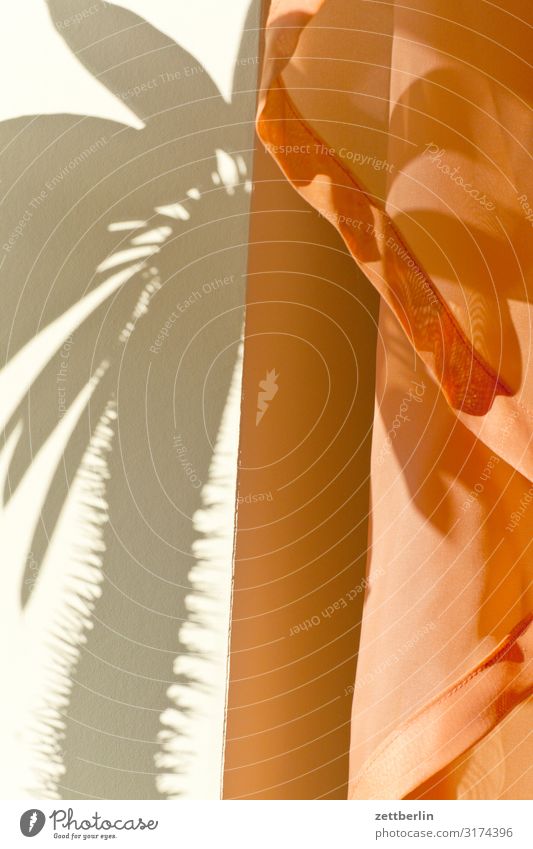 Schatten vom Kaktus im Hochformat Menschenleer Textfreiraum Strukturen & Formen Licht Vorhang Gardine Häusliches Leben Raum Innenarchitektur Stoff Textilien